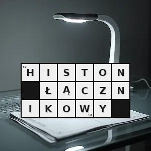 Hasło krzyżówkowe histonowy - histon łącznikowy – rozwiązanie, synonimy, podpowiedzi i definicje krzyżówkowe